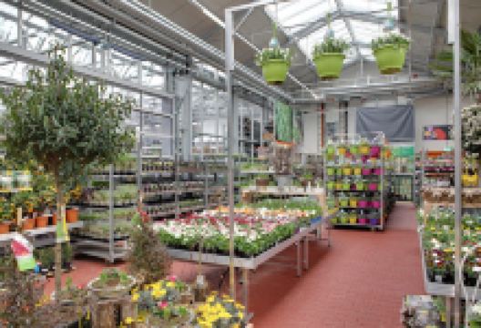 OBI Gartencenter Limburg购物图片