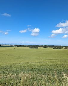 Borglum Kloster-弗罗