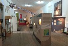 Natural Science Museum "P. Antonio Scasso"景点图片