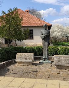 Casa-muzeu „Alexei Mateevici”-Zaim