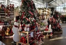 Canoyer Garden Center - Papillion购物图片