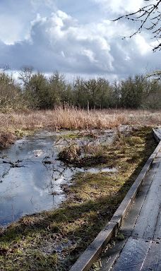 Jackson-Frazier Wetlands-本顿县
