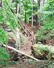 Hangender Stein-佐勒纳尔布县