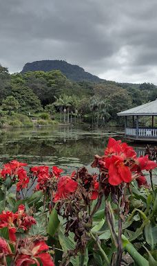 卧龙岗植物园-Keiraville