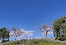 Parc de la Solana景点图片