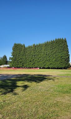 Millersburg City Park-米勒斯堡