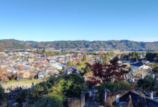 天性寺景点图片