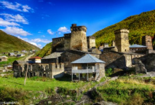 乌树故里景点图片