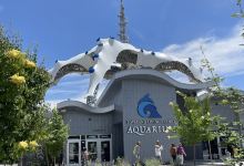 Loveland Living Planet Aquarium景点图片