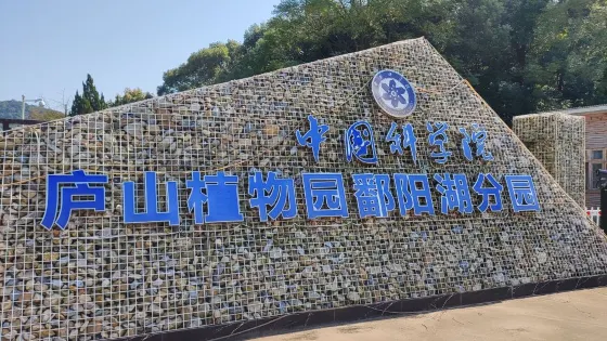 鄱陽湖植物園