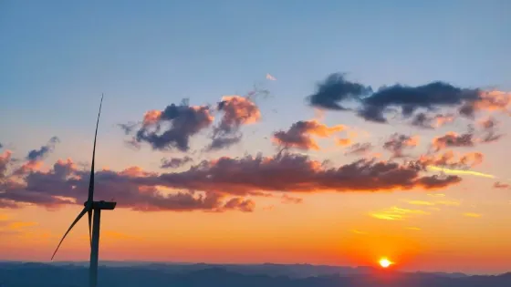 花竹山