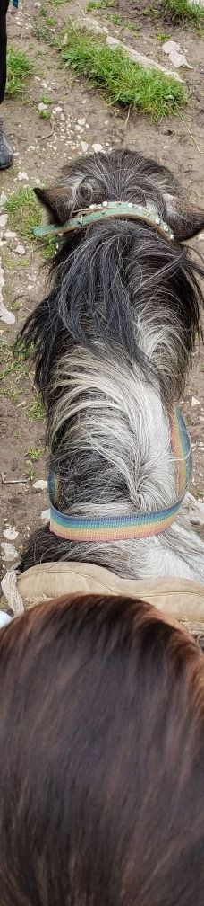 阿坝州纳摩大峡谷-若尔盖