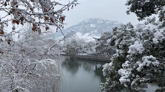 放馬山遊園