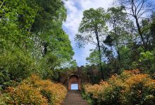 鼓楼山公园景点图片