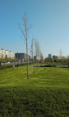 Pryberezhnyy square-Dnipropetrovs'ka city council