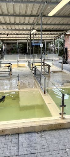 Seehundstation und Waloseum-诺德代希