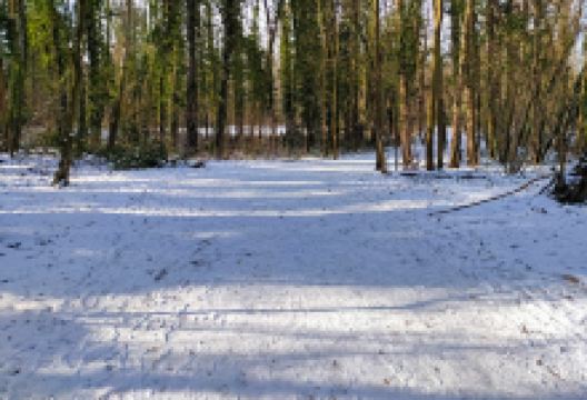 Bassin de Guillerville景点图片