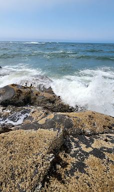 Fogarty Creek Beach-林肯县