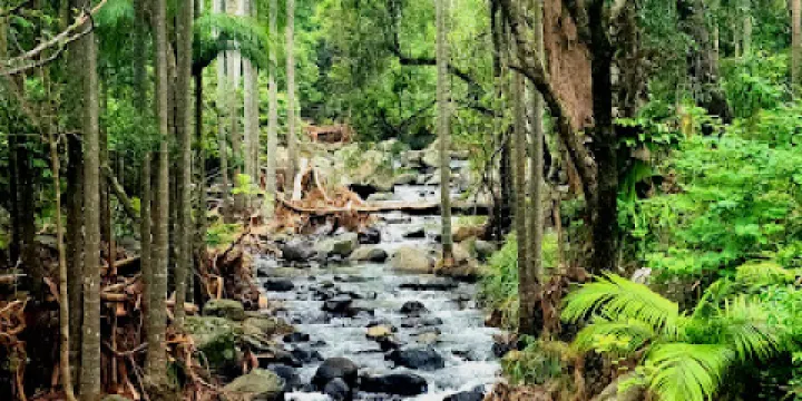 Thunderegg Crystal Mine