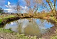 Hambledon Drive Duck Pond景点图片