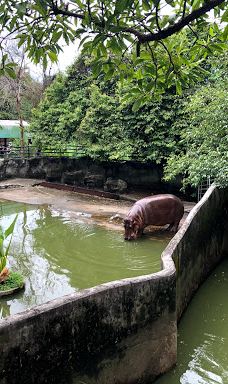 Seal and Penguin Park-宋卡