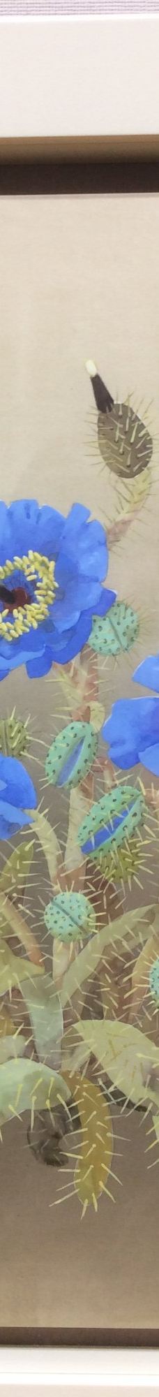 成川美术馆-箱根