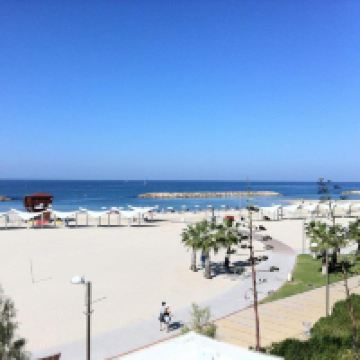 海尔兹利亚图片