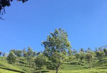 Kodanad View Point景点图片