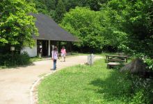 牛久自然観察の森景点图片