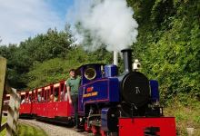 Perrygrove Railway & Treetop Adventure景点图片