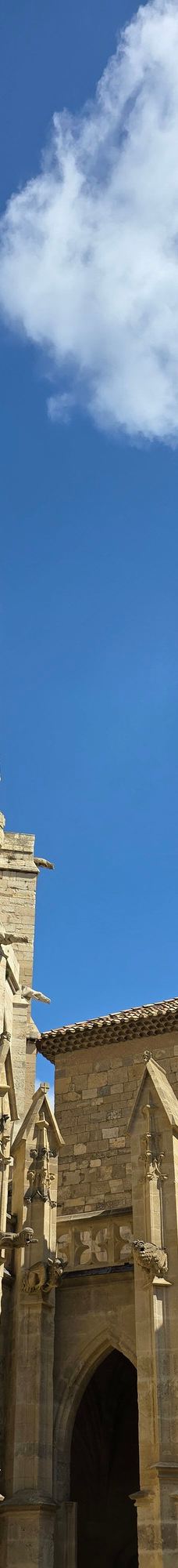 Narbonne Cathedral-纳巴达