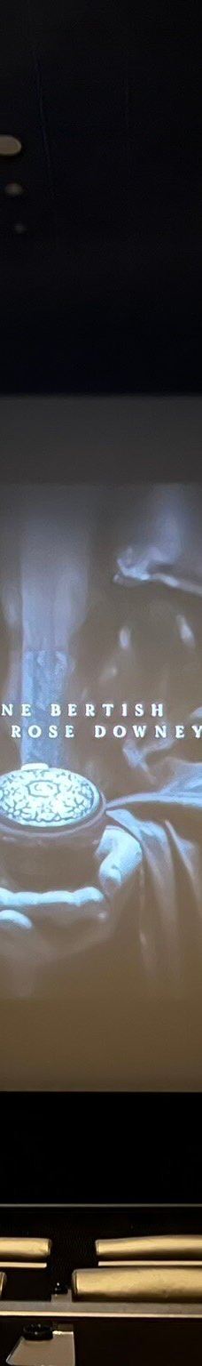 The Space Cinema-托里迪夸尔泰索洛