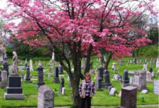 Historic Jersey City and Harsimus Cemetery景点图片