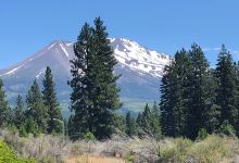 Mount Shasta City Park景点图片
