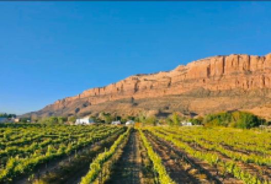 Spanish Valley Vineyards景点图片