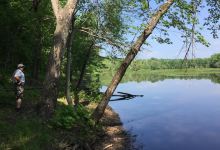 Arcadia Wildlife Sanctuary景点图片