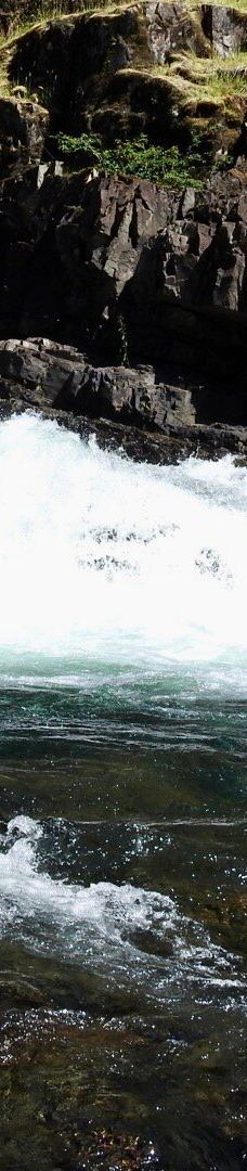 Elk Falls Suspension Bridge-坎贝尔河