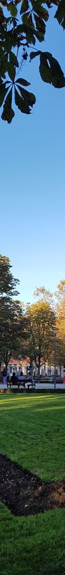 Le Jardin National-阿尔比