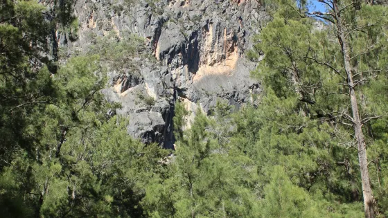 Bungonia National Park