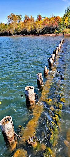 Bayview Park-阿什兰