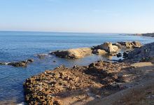 Frond de mer 2景点图片