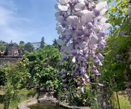 Uzhgorod University Botanic Garden