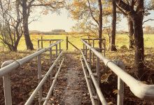 Stamford Brook Community Woodland景点图片