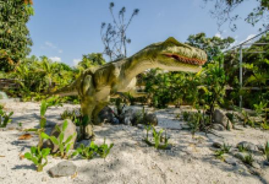 Dino Park景点图片