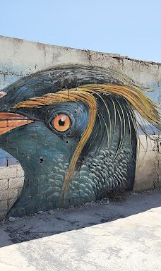 Cedar Forest of Alyko-纳克索斯