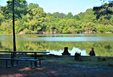 Goose Creek Campground景点图片
