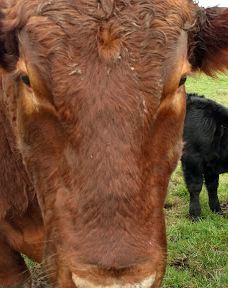 Millersburg City Park-米勒斯堡