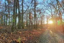Osage Beach City Park景点图片