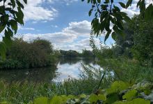 Hall Farm景点图片