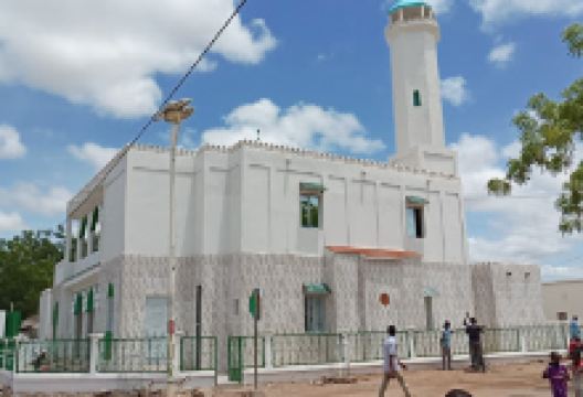 Mosquée Tidjane景点图片